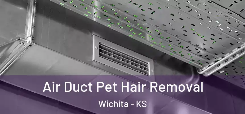  Air Duct Pet Hair Removal Wichita - KS