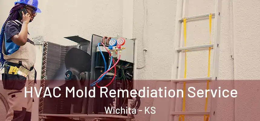  HVAC Mold Remediation Service Wichita - KS