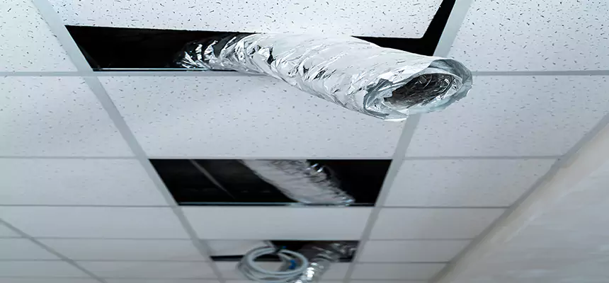 Affordable HVAC Sanitizing After Pest Removal in Wichita