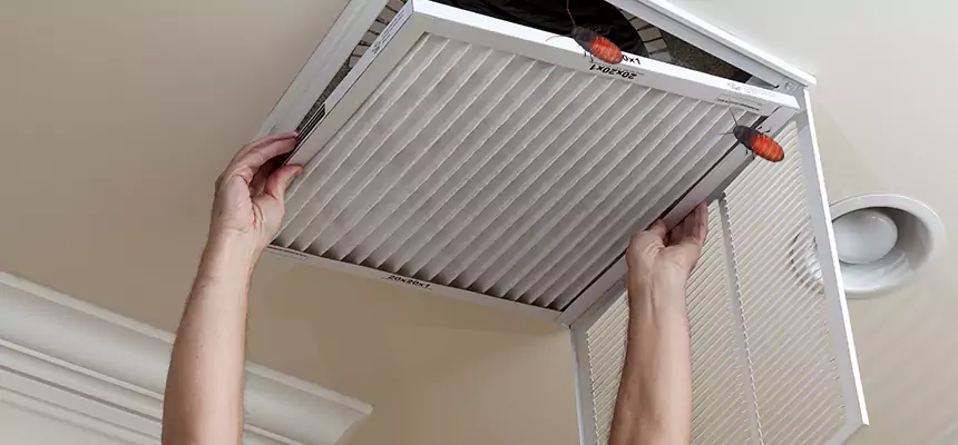 Our Insect Removal from Air Ducts Services in Wichita, KS