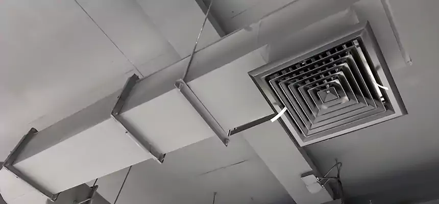 Our Pest Removal From Ducts Services in Wichita, KS