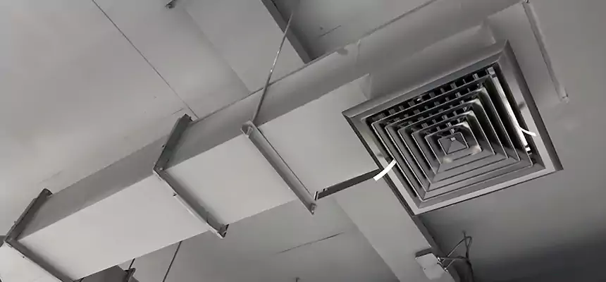 Our Rodent Droppings In Vents Services in Wichita, KS