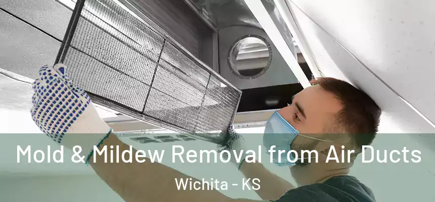  Mold & Mildew Removal from Air Ducts Wichita - KS