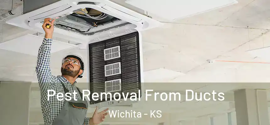  Pest Removal From Ducts Wichita - KS