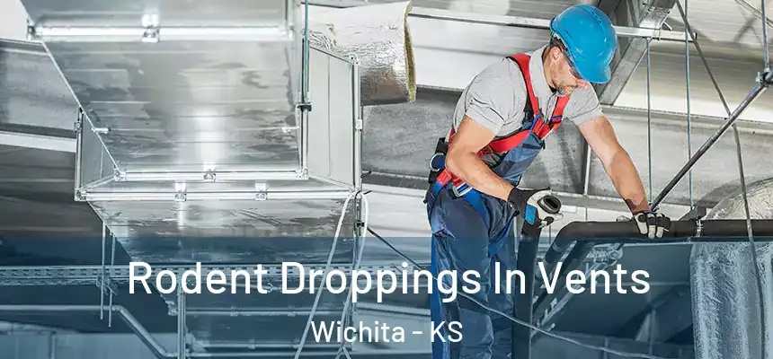  Rodent Droppings In Vents Wichita - KS
