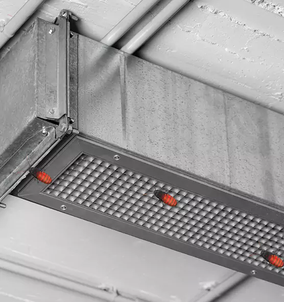 About Air Duct Cockroach Removal in Wichita, KS