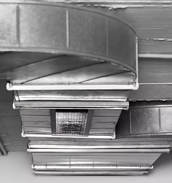 Professional Air Duct Pest Removal in Wichita, KS