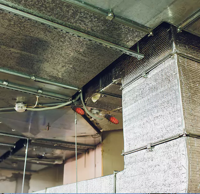 Why Homeowners & Businesses Trust Us in Wichita, KS?